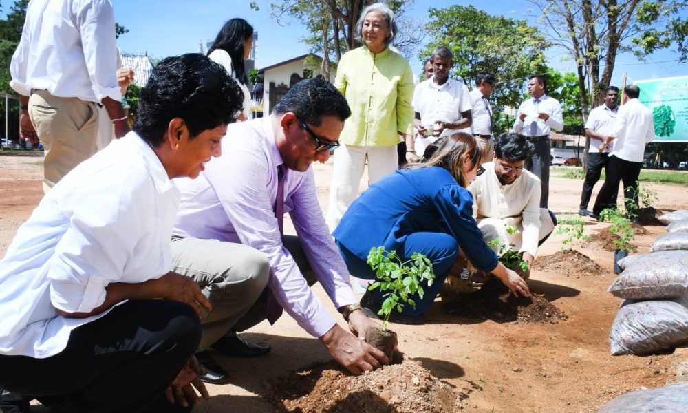 WhatsApp Image 2024-06-27 at 07.08.11