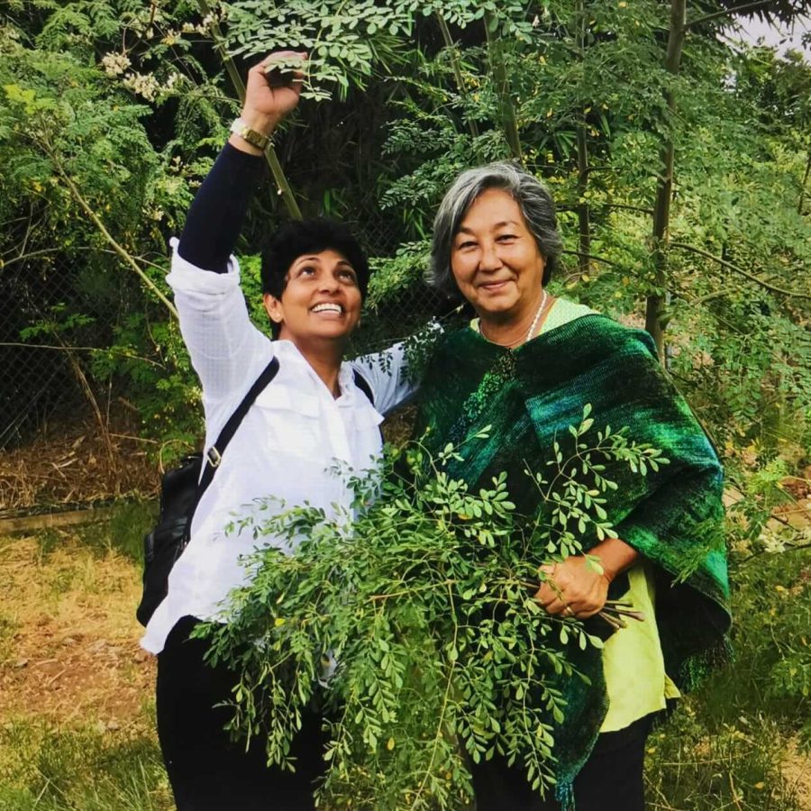 moringa-for-life-damayanthi moringa-for-life-damayanthi